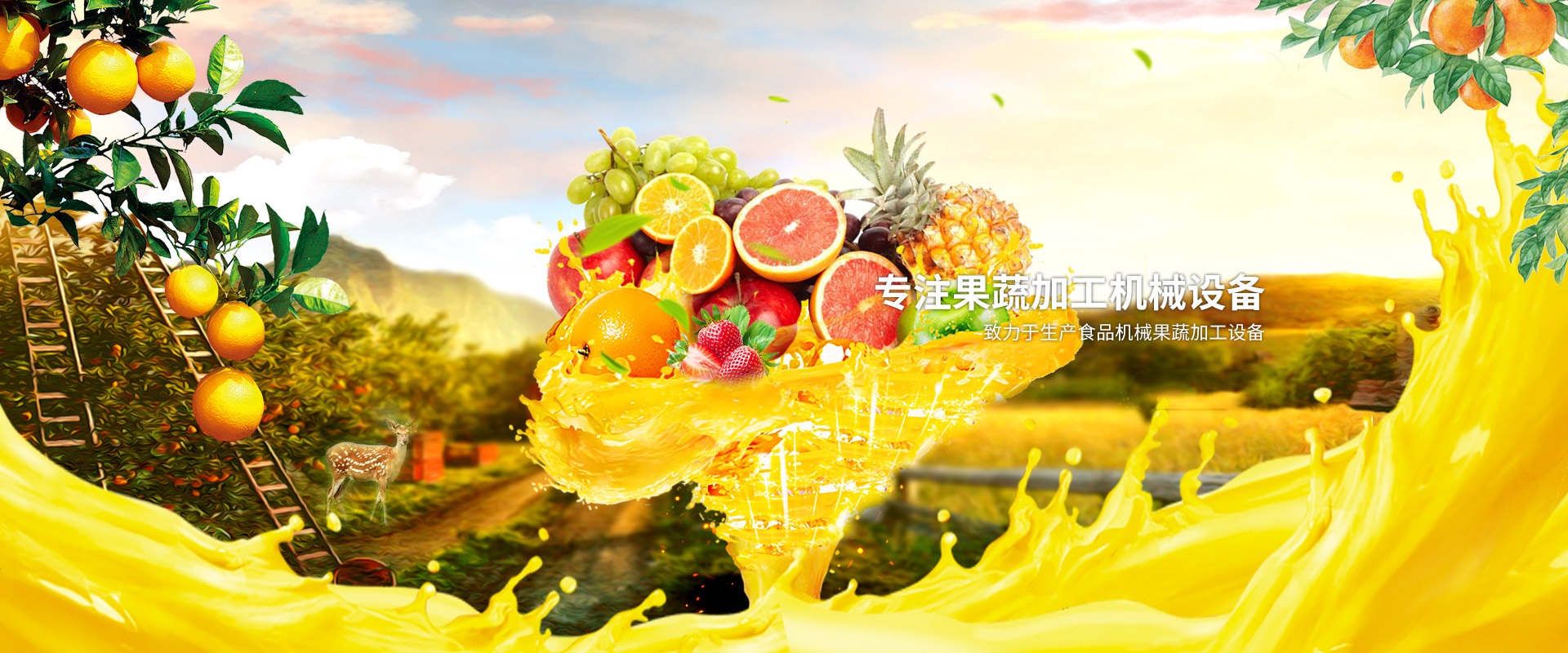 食品級材質  商用性質工業壽命